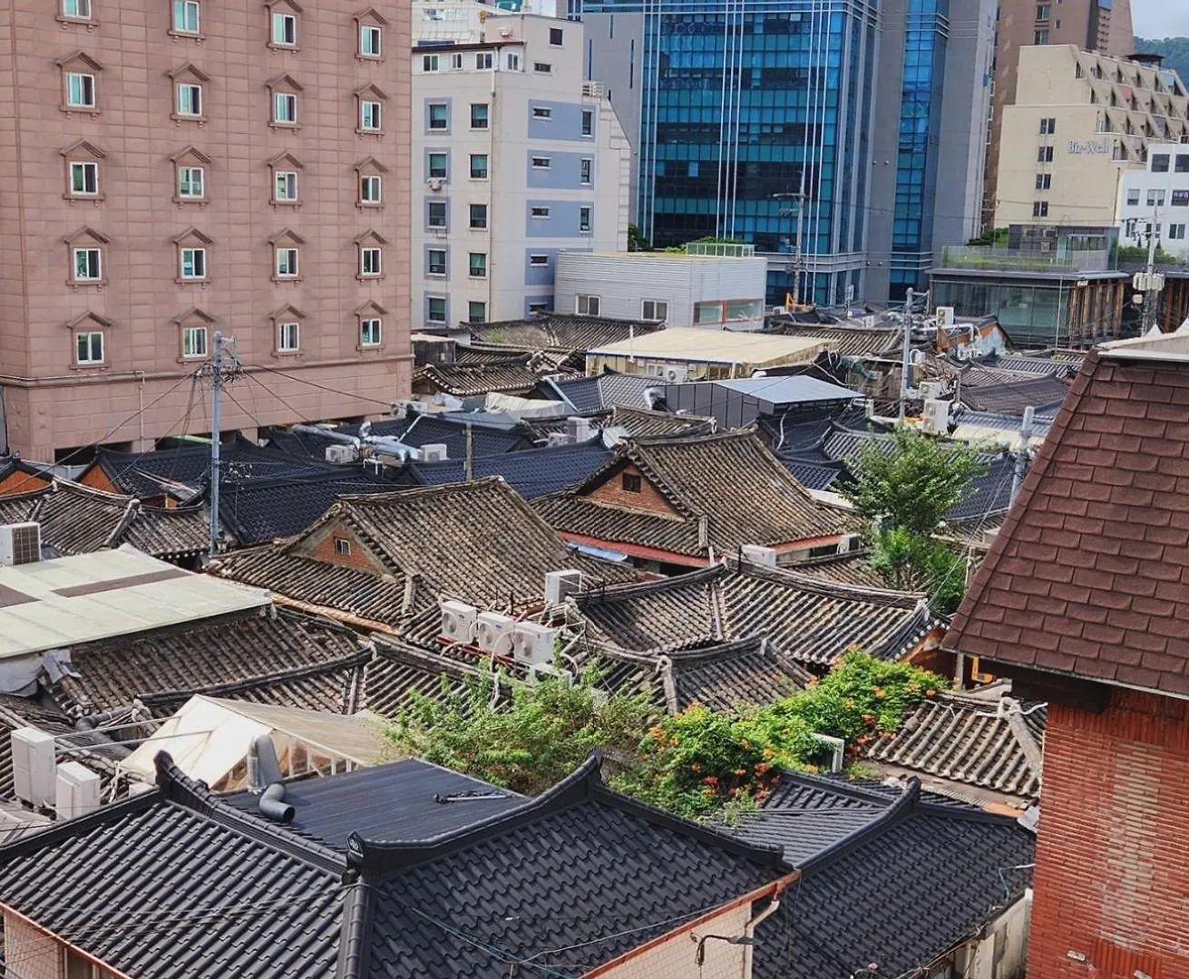 Hostel Zen Seoul Stay